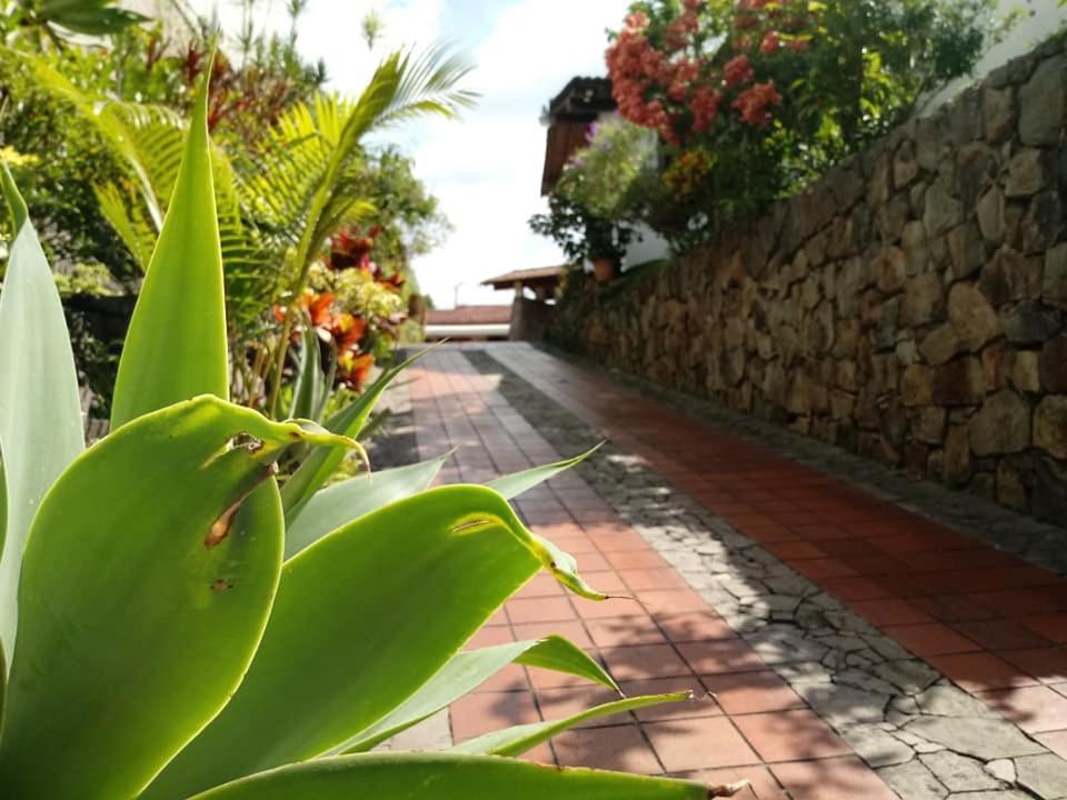 Hotel Alamo Internacional San Salvador Exterior foto